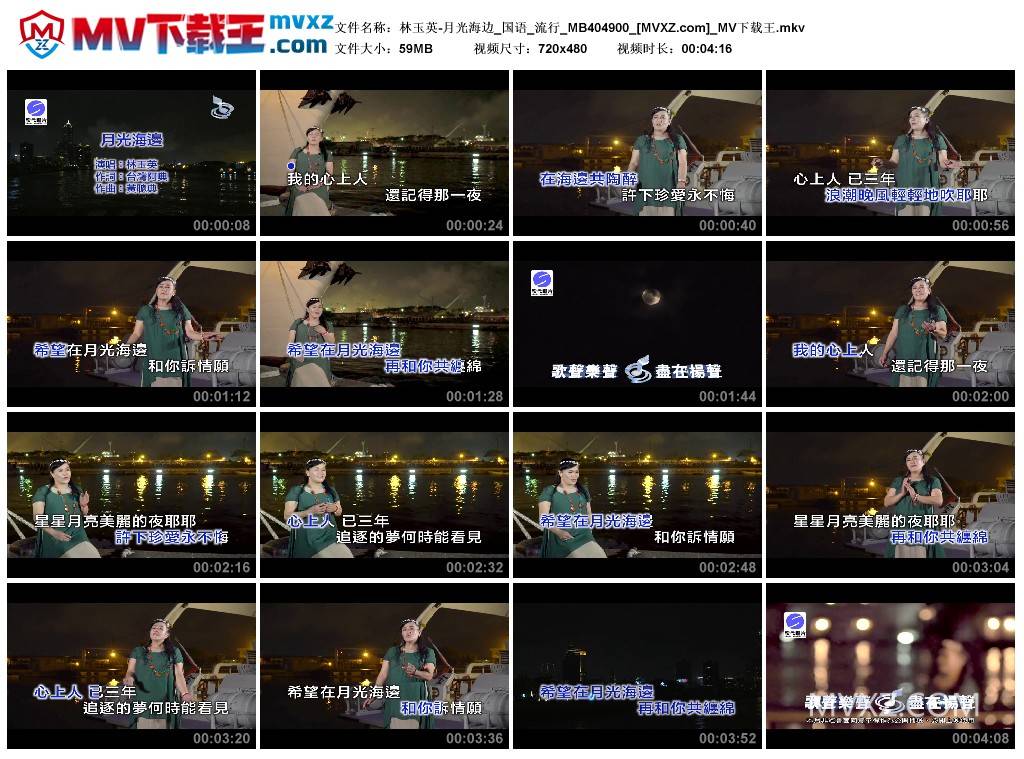 林玉英-月光海边_国语_流行_MB404900